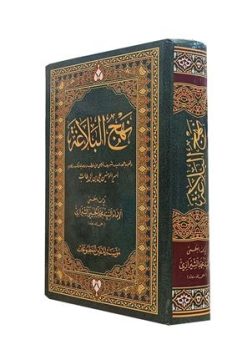نهج البلاغه الامام السیدمحمدالحسینی الشیرازی